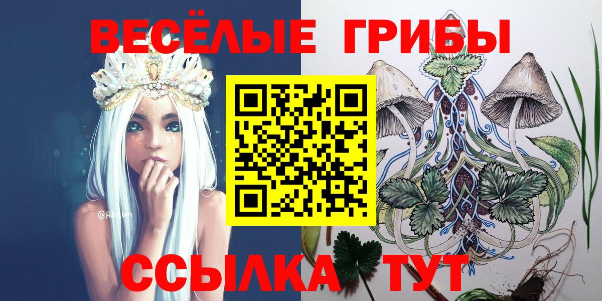 Псилоцибиновые грибы прущие грибы Сердобск